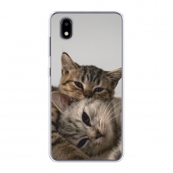 Силиконовый чехол Нежные котята на ZTE Blade A3 (2020)