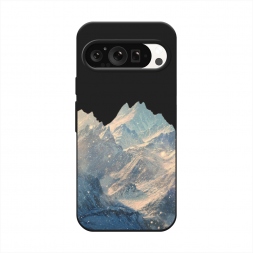 ������� ����������� ����� ���� ��� 2 �� Google Pixel 9 Pro