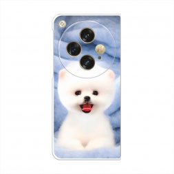 ����������� ����� ����� ���� �� Oppo Find N3