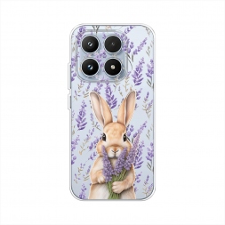 ����������� ����� ������ � �������� �� Xiaomi 17