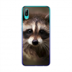 ����������� ����� ���� �� Huawei Y6 Pro (Prime) 2019