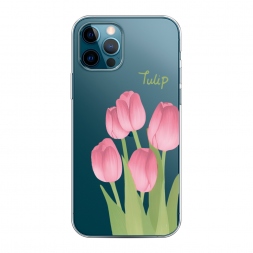 ����������� ����� �������� ������� 1 �� iPhone 12 Pro