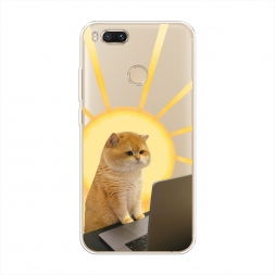 ����������� ����� �������� �������� �� Xiaomi Mi 5X