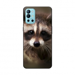 ������� ����������� ����� ���� �� OnePlus 9R