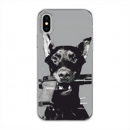����������� ����� �������� �� iPhone XS (10S)
