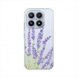 ����������� ����� ���������� ������ �� Xiaomi 17
