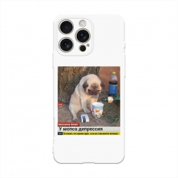  ���� � ��������� �� iPhone 16 Pro Max