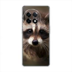 ����������� ����� ���� �� OnePlus 11R