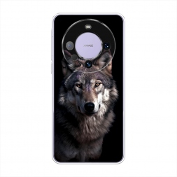����������� ����� ������ ������ �� Huawei Mate 60 Pro