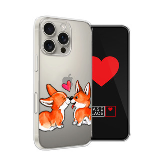 ����������� ����� ���������� ����� �� iPhone 16 Pro