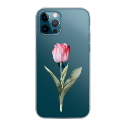 ����������� ����� ������� ������� ���� �� iPhone 12 Pro