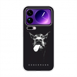 ����������� ����� ���� ��������� �� Xiaomi 17 Pro Max