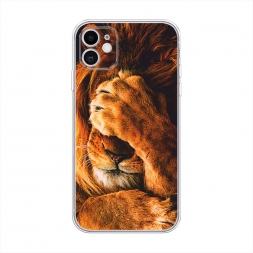 ����������� ����� ������� ���� �� iPhone 11