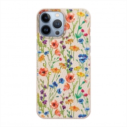  ���� � �������� ��� �� iPhone 13 Pro Max