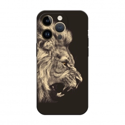 ������� ����������� ����� ������� ��� 2 �� iPhone 14 Pro