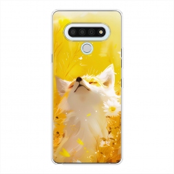 ����������� ����� ���� � ���� �� LG Stylo 6