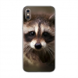 ����������� ����� ���� �� iPhone XS Max (10S Max)