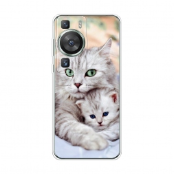 ����������� ����� ����� � ������ �� Huawei P60