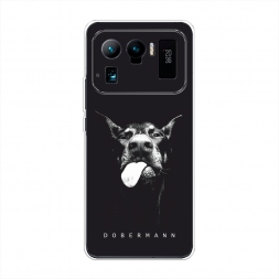 ����������� ����� ���� ��������� �� Xiaomi Mi 11 Ultra
