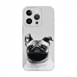 ����������� ����� ������� ���� �� iPhone 14 Pro