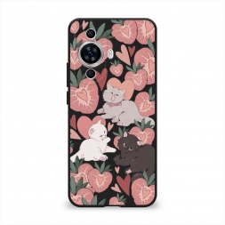 ������� ����������� ����� ���������� ������ �� Huawei Nova 12S