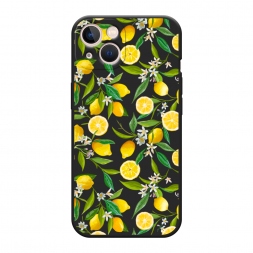 ������� ����������� ����� ������ ������ �� iPhone 13
