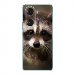 ����������� ����� ���� �� Honor 60 Pro 