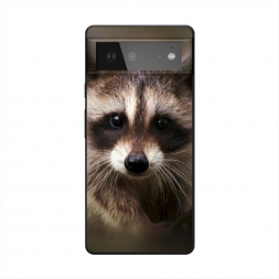 ������� ����������� ����� ���� �� Google Pixel 6