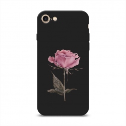 ������� ����������� ����� ������������� ���� �� iPhone SE 2020