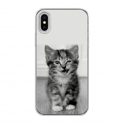 ����������� ����� ������������� ������� �� iPhone XS (10S)