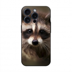 ������� ����������� ����� ���� �� iPhone 15 Pro