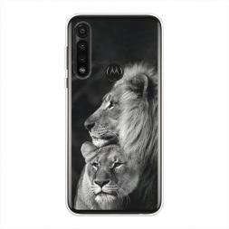 ����������� ����� ������� ���� �� Motorola Moto G Power 2020