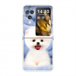 ����������� ����� ����� ���� �� Oppo Find N3 Flip