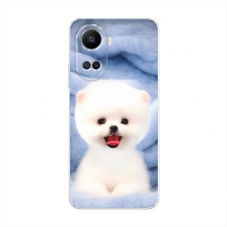 ����������� ����� ����� ���� �� Huawei Nova 10 SE