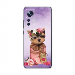 ����������� ����� ϸ��� ��� ���� �� Xiaomi 12