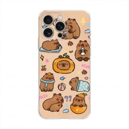 ����������� ����� �������� ������� �� iPhone 16 Pro Max