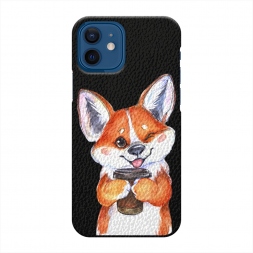  ����� � ���� �� iPhone 12