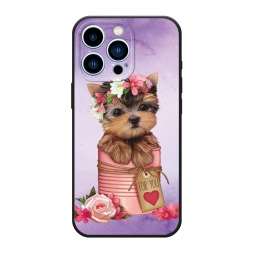 ������� ����������� ����� ϸ��� ��� ���� �� iPhone 13 Pro