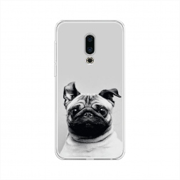 Силиконовый чехол Ушастый мопс на Meizu 16