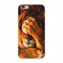 ����������� ����� ������� ���� �� iPhone 6