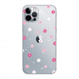 �������� �������� ������� �� iPhone 12 Pro