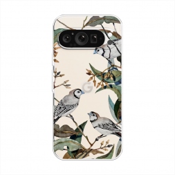 ����������� ����� ����� � ������ �� Google Pixel 9 Pro