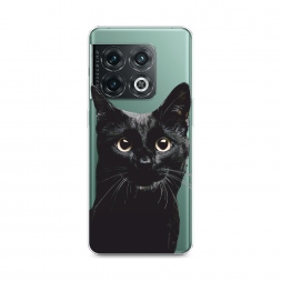 ����������� ����� ������ ��� 2 �� OnePlus 10 Pro