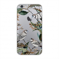 ����������� ����� ����� � ������ �� iPhone 6