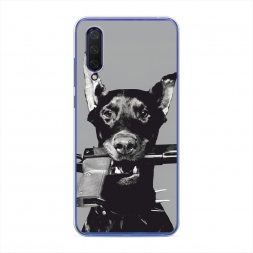 ����������� ����� �������� �� Xiaomi Mi 9 Lite