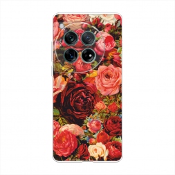 ����������� ����� ���� ��������� �� OnePlus 12