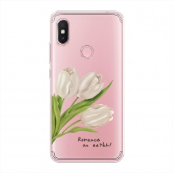 ����������� ����� Romance on earth 2 �� Xiaomi Redmi S2 (Redmi Y2)