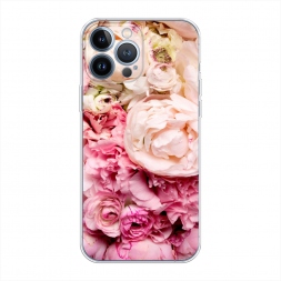 ����������� ����� ����� ����� �� iPhone 13 Pro Max