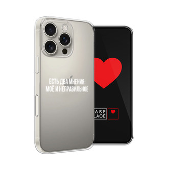 Силиконовый чехол Два мнения на iPhone 16 Pro