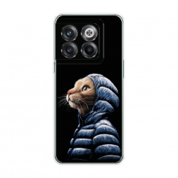 ����������� ����� ��� � �������� �� OnePlus Ace Pro